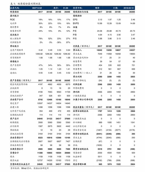 專業翻譯服務 寧波翻譯公司全面解析